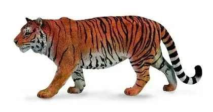 tygrys-syberyjski-collecta