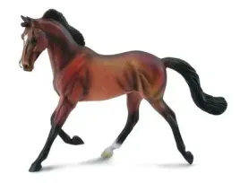 klacz-thoroughbred-masci-bay-collecta