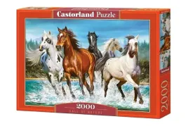 puzzle-castorland-2000-szt-call-of-nature