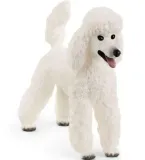 pudel-duzy