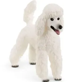 pudel-duzy