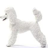pudel-duzy-marka-schleich