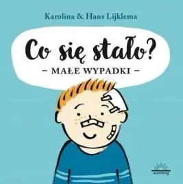 co-sie-stalo-male-wypadki