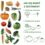 owoce-zestaw-magnesow-aston-active-bohater-brak