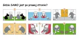 pus-samo-tu-i-teraz-1-rodzaj-zbior-zadan-testow