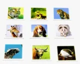 animal-memo-samopol-waga-z-opakowaniem-0-435-kg