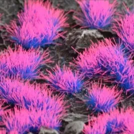 gamers-grass-special-tufts-4-mm-alien-neon-w