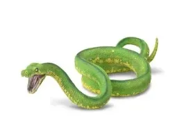 pyton-zielony-collecta