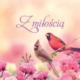 z-miloscia-edycja-swietego-pawla