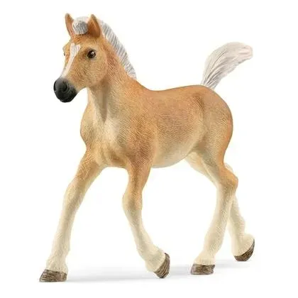 zrebak-rasy-haflinger-schleich
