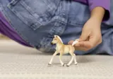 zrebak-rasy-haflinger-schleich-certyfikaty-opinie-atesty-ce-en-71