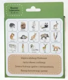 memo-zwierzeta-lesne-plec-chlopcy-dziewczynki