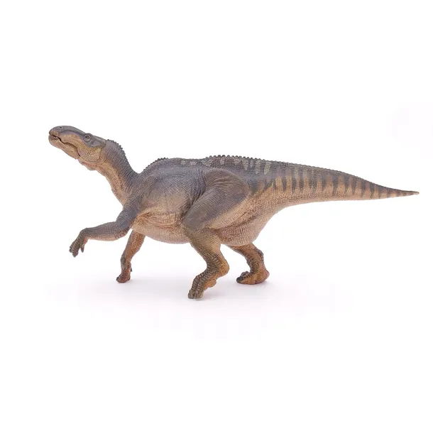 iguanodon-papo-certyfikaty-opinie-atesty-ce-en-71