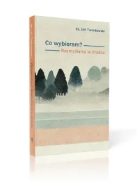co-wybieram-rozmyslania-w-drodze-stnux
