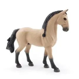 kon-lusitano-papo