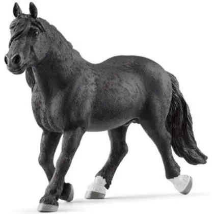 ogier-rasy-noriker-schleich