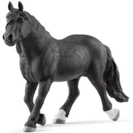 ogier-rasy-noriker-schleich