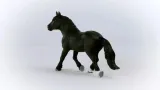 ogier-rasy-noriker-schleich-material-plastik