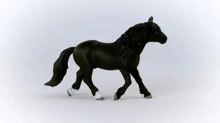 ogier-rasy-noriker-schleich-certyfikaty-opinie-atesty-ce-en-71