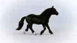 ogier-rasy-noriker-schleich-certyfikaty-opinie-atesty-ce-en-71