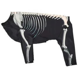stroj-dla-psa-doglemi-skull-head-3xl-pelne-przebranie-z-motywem-czaszki