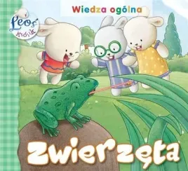 krolik-leos-zwierzeta-arti