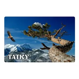 magnes-na-lodowke-z-efektem-3d-zakopane-tatry