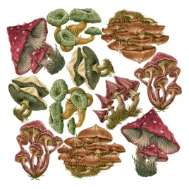 dekoracje-do-pokoju-dzieciecego-lesna-roslinnosc-kolorowe-grzyby-80x38-cm