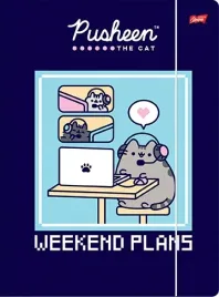 pusheen-teczka-szkolna-z-gumka-a4-mix-wzorow-1-sztuka