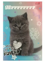 zeszyt-szkolny-a4-32-kartki-w-kratke-my-little-friend-1-sztuka