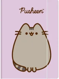 pusheen-teczka-szkolna-z-gumka-a4-na-rysunki-fioletowa
