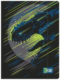 st-right-teczka-z-gumka-a4-na-rysunki-dokumenty-dla-chlopca-dinosaur