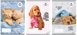 zeszyt-szkolny-a4-32-kartki-kolorowe-trzy-linie-the-sweet-pets