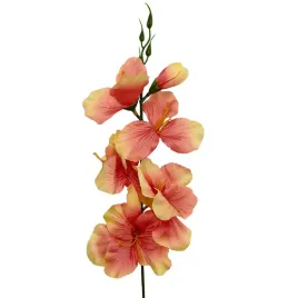 mieczyk-pojedynczy-salmon-peach-50-cm-12-szt