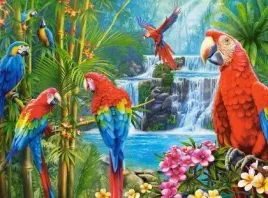 puzzle-2000-elementow-papugi-spotkanie-castor