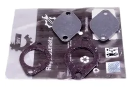 zestaw-naprawczy-zaworu-egr-do-vag-silniki-v6-2-5-tdi
