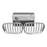 atrapa-grill-nerki-do-bmw-x5-2008