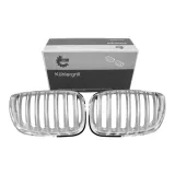 atrapa-grill-nerki-do-bmw-x5-2002-2003