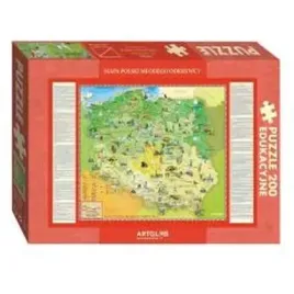 puzzle-200-polska-mlodego-odkrywcy-artglob