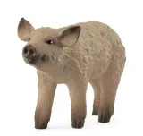 prosie-mangalica