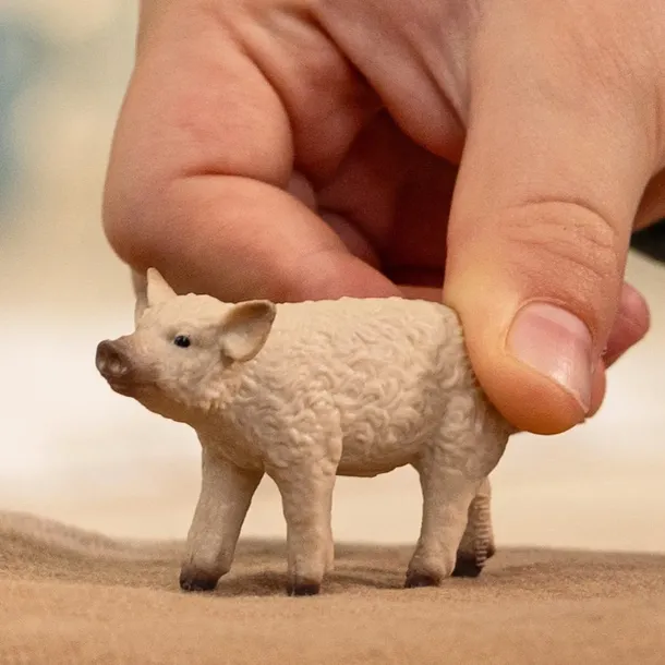 prosie-mangalica-material-plastik