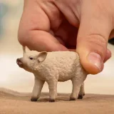 prosie-mangalica-material-plastik