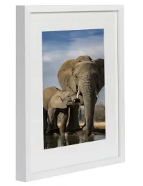 ramka-na-zdjecie-do-plakatow-portret-28x35-biala-passepartout-20x25