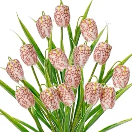 5x-sztuczny-kwiat-szachownicy-kostkowatej-do-ozdoby-kuchni-parapetu-30-cm