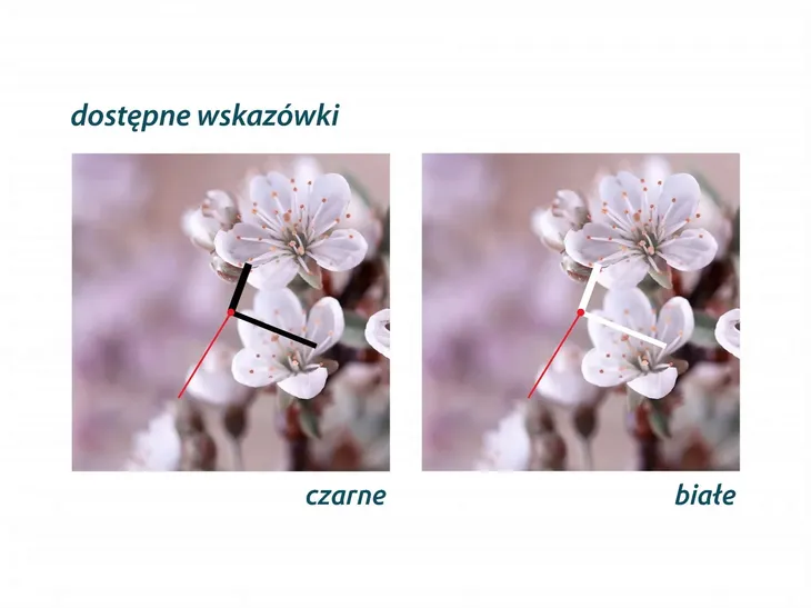 zegar-szklany-okragly-orchidea-typ-scienny
