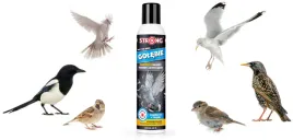 odstraszacz-na-golebie-wroble-szpaki-spray-300-ml