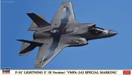 hasegawa-02499-f-35-lightning-ii-b-version-vmfa-242-special-marking-1-7