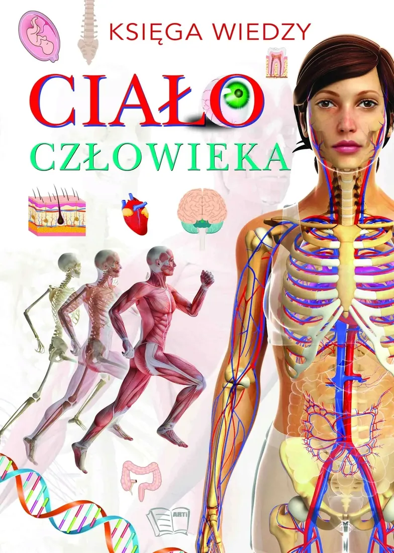 cialo-czlowieka