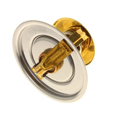 termostat-scania-79c