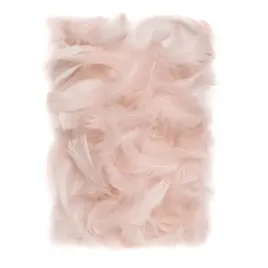 piorka-nude-5-12cm-10g